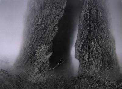 скриншот к Ёжик в тумане (1975)